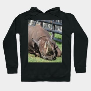 Black Rhino Hoodie